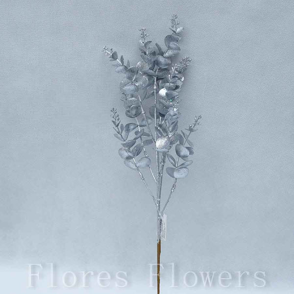 Eukalyptus 51 cm