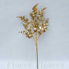 Eukalyptus 51 cm