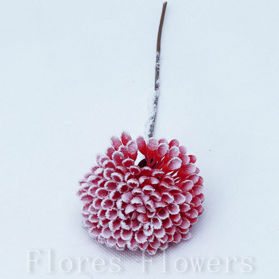 Sedum zapichovačka 19 cm