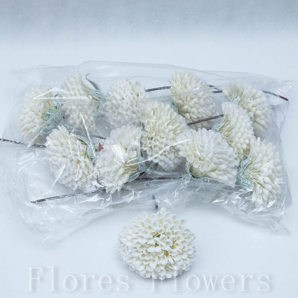 Sedum zapichovačka 19 cm