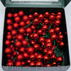 Gule sklenené, 2 cm, červené ,lesklé, matné, S/144
