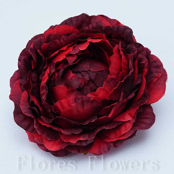 Kamelia vencová, 10cm, bordová