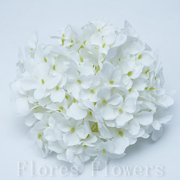Hortenzia vencová, 15cm, krémová