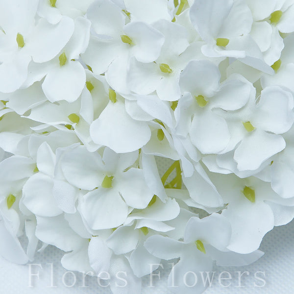 Hortenzia vencová, 15cm, krémová