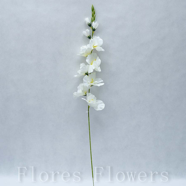 Gladiola krémová, 70cm