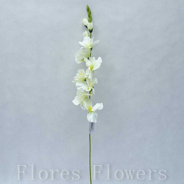 Gladiola zelená, 70cm