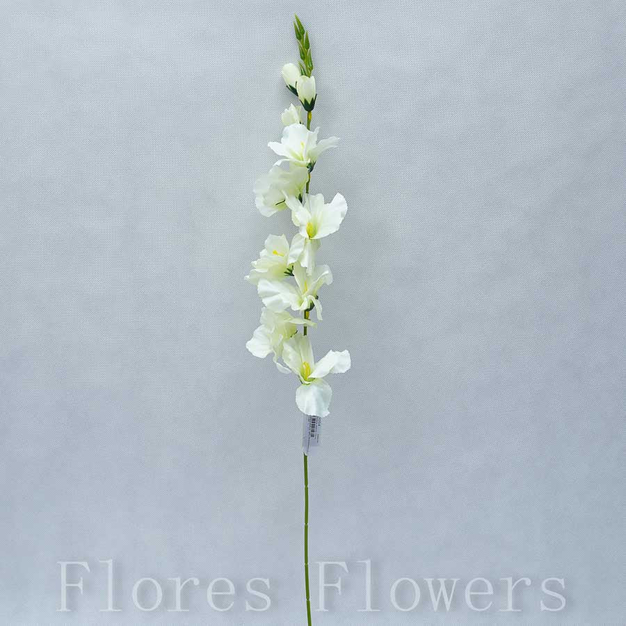 Gladiola zelená, 70cm