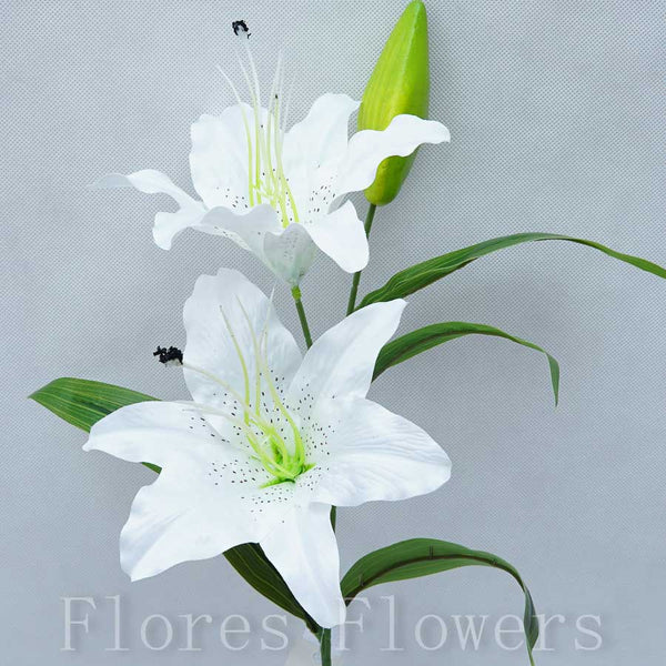 Ľalia stopková, 2 kvety +puk, 60cm