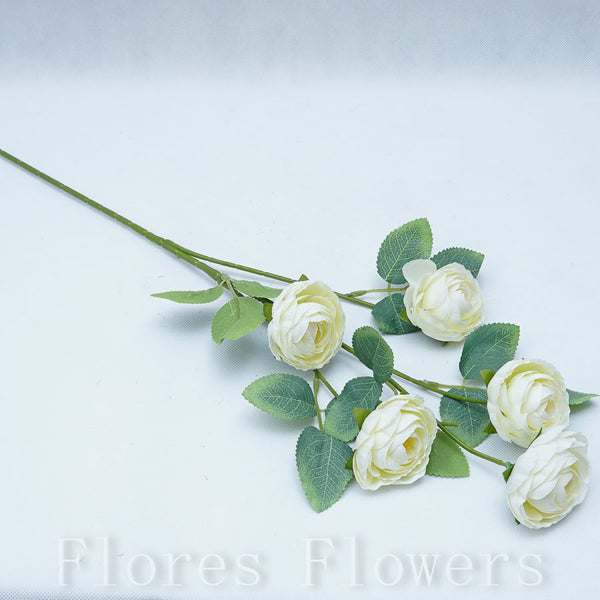 Trs kamélia x5, krémová, 65cm