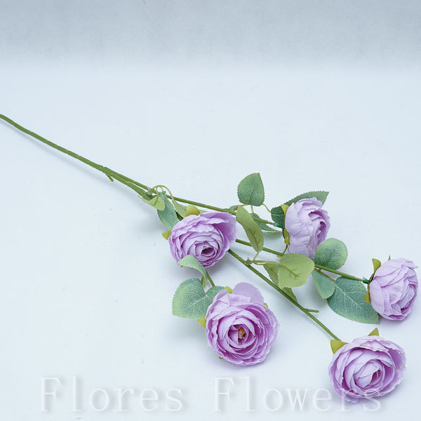 Trs kamélia x5, fialová, 65cm