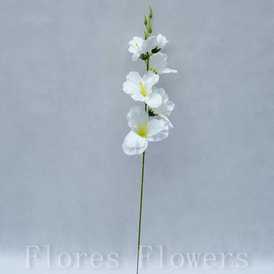 Gladiola krémová, 50cm