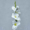 Gladiola krémová, 50cm