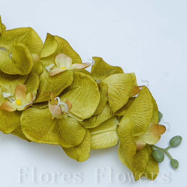 Orchidea zelená, 90cm