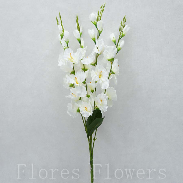 Kytica gladiol x5, krémová, 67cm