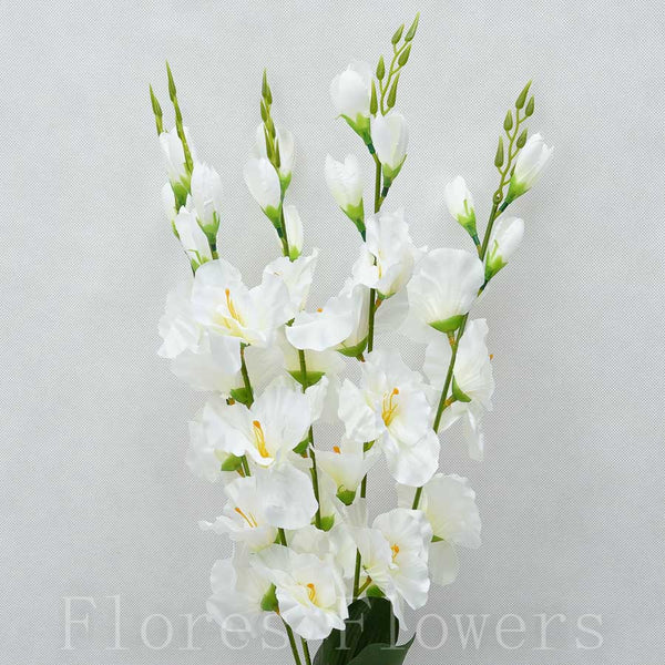 Kytica gladiol x5, krémová, 67cm