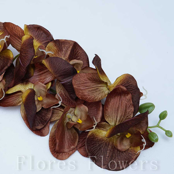 Orchidea hnedá, 90cm