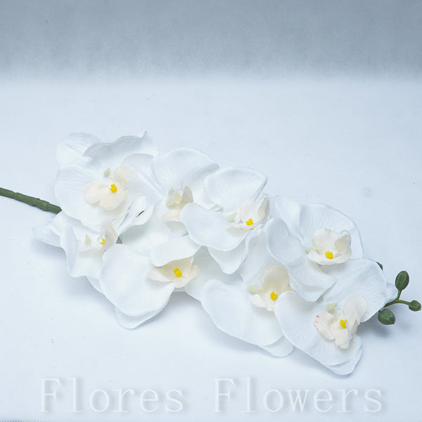 Orchidea krémová, 90cm
