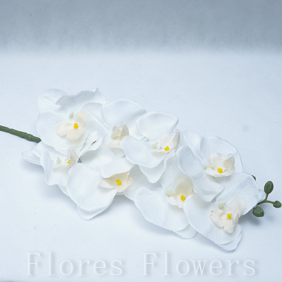 Orchidea krémová, 90cm