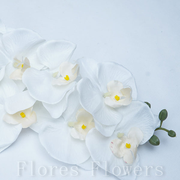 Orchidea krémová, 90cm