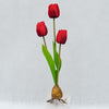 Tulipán s cibuľkou 38 cm