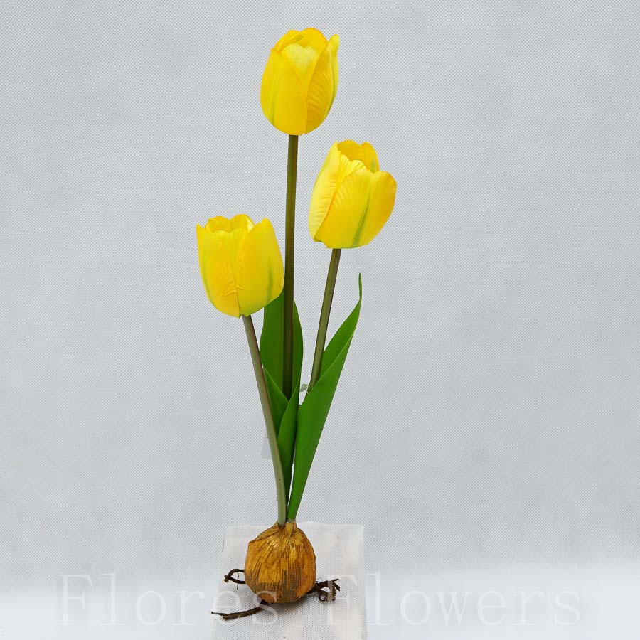 Tulipán s cibuľkou 38 cm