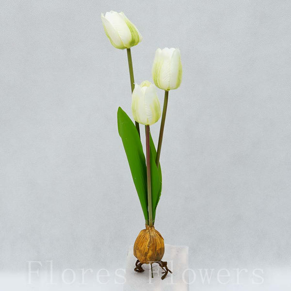 Tulipán s cibuľkou 38 cm