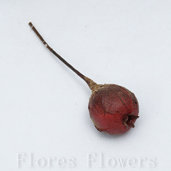 Plody zapichovačka 14 cm, bordová