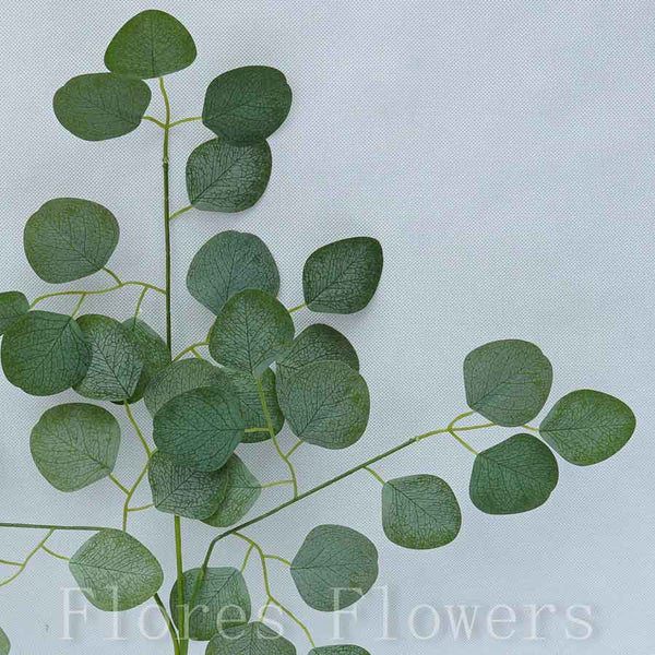 List eukalyptus, 50cm