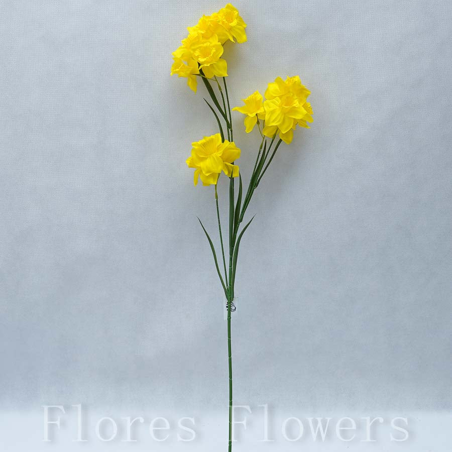 Narcis 77 cm