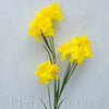 Narcis 77 cm
