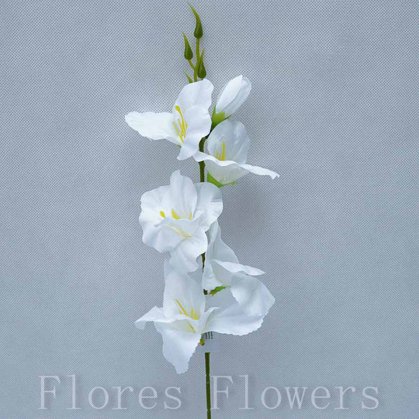 Gladiol 55 cm