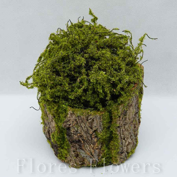 Machový peň 18x18cm