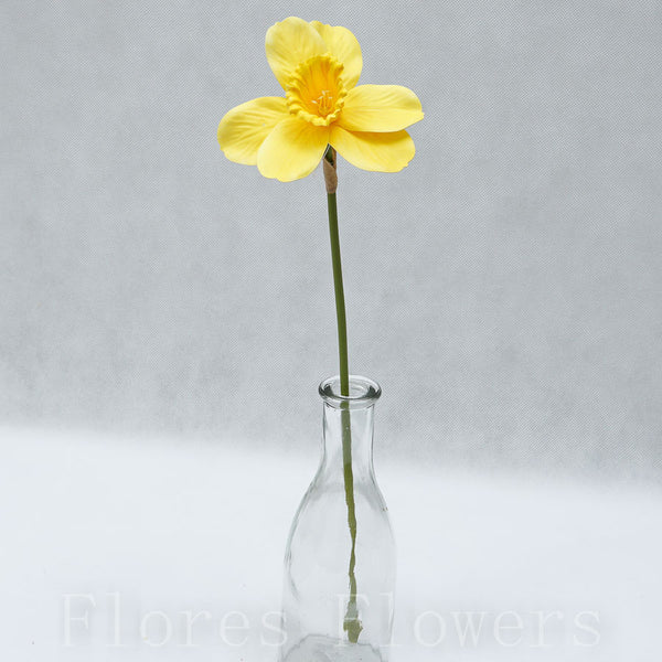 Narcis stopkový 40cm