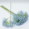 Gypsophila 45cm, cena za 6ks,mix