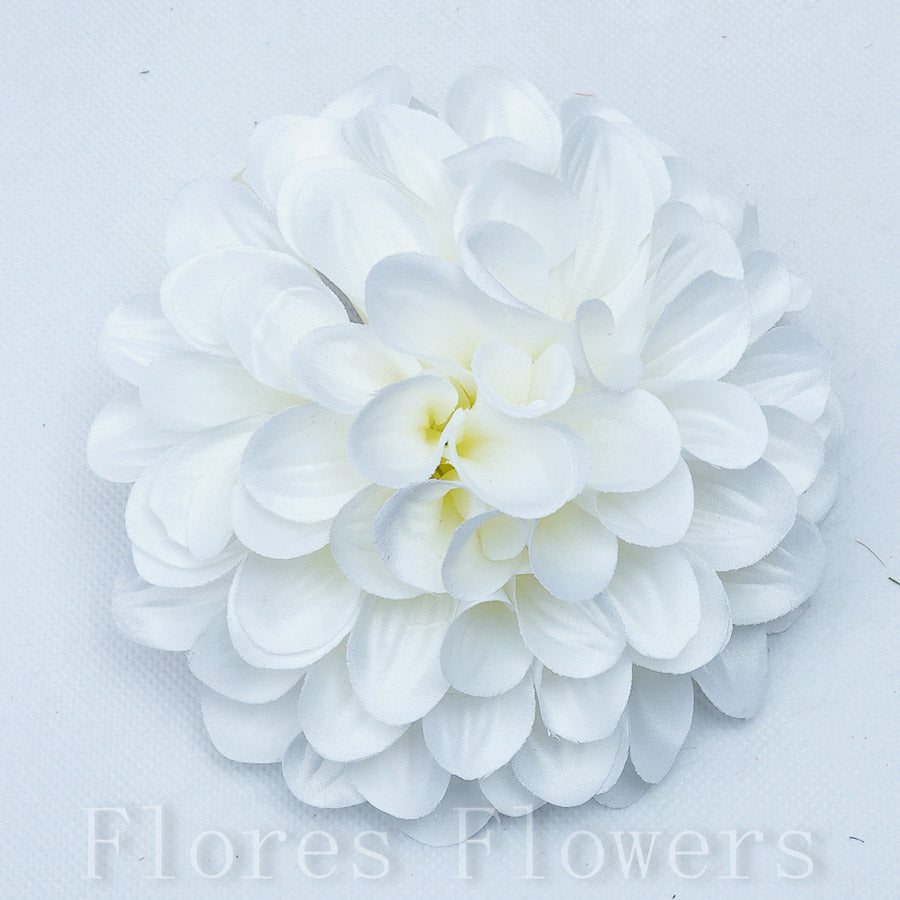 Vencová dália krémová, 13cm