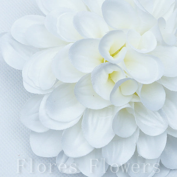Vencová dália krémová, 13cm