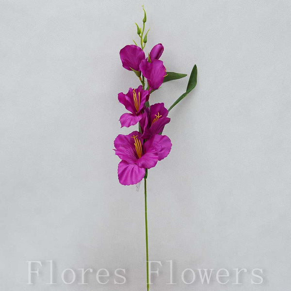 Gladiol 54 cm