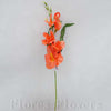 Gladiol 54 cm