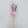 Gladiol 54 cm