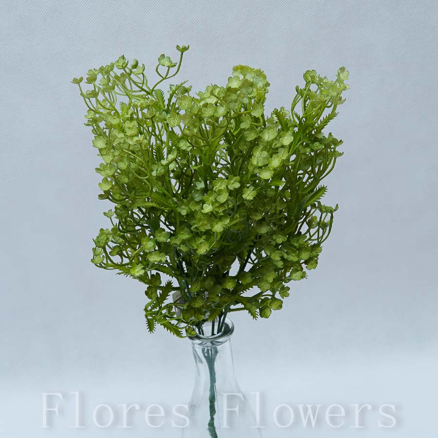 Kytica gypsofila x5, 30cm