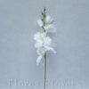 Gladiol biely, 50cm