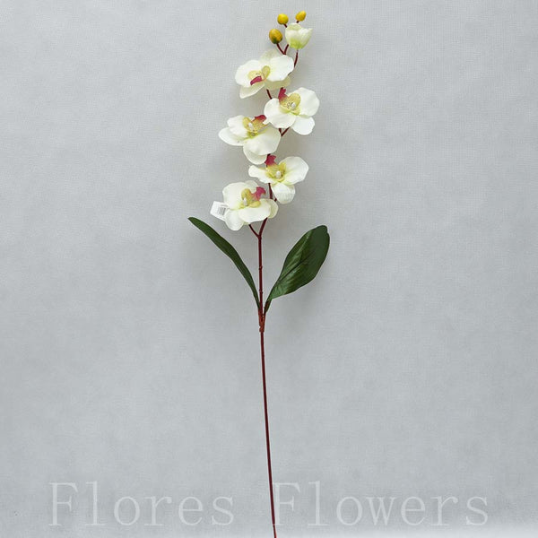 Orchidea 75cm