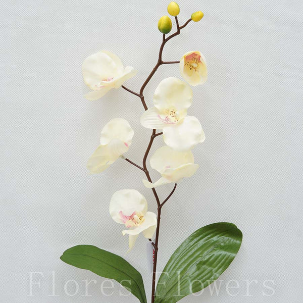 Orchidea 75 cm, KRÉMOVÁ