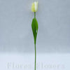 Tulipán, krémový, 47 cm