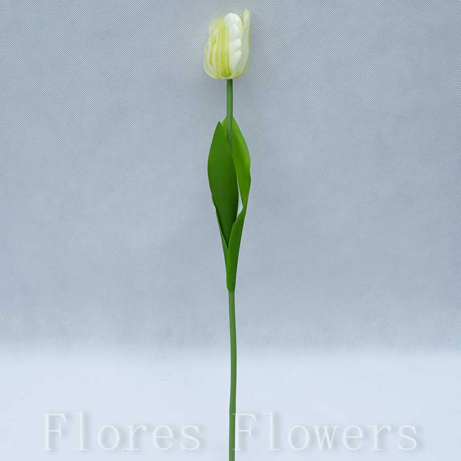 Tulipán, krémový, 47 cm