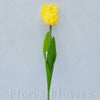 Tulipán, žltý, 47 cm