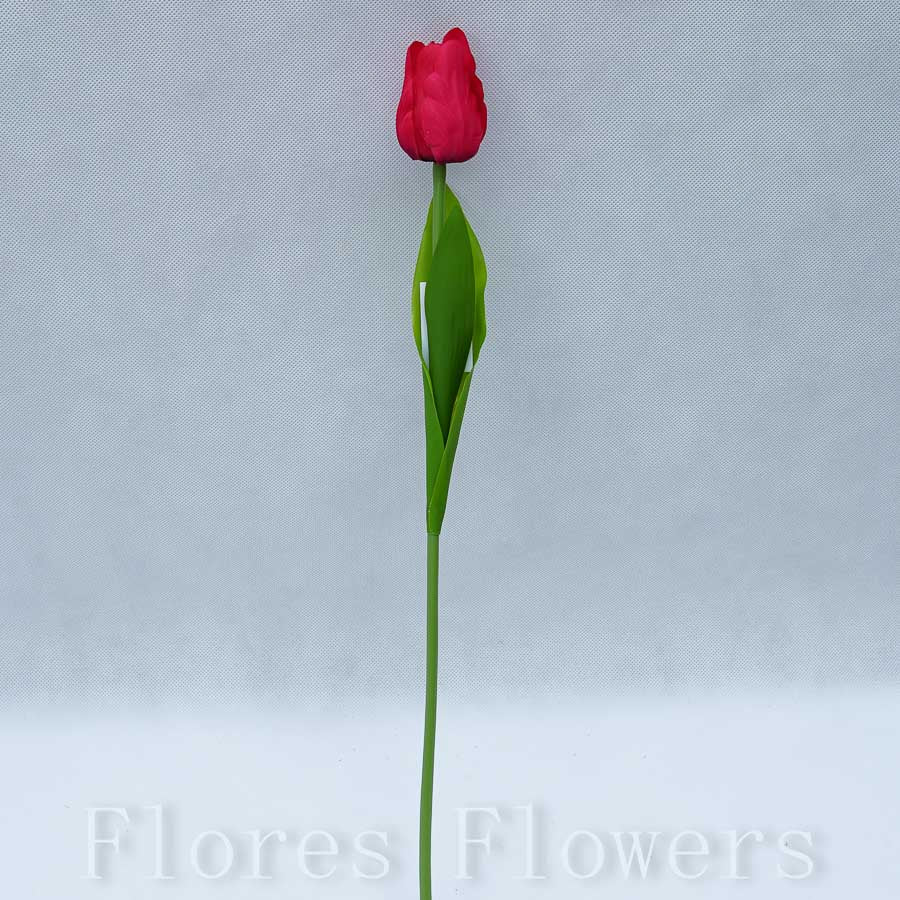 Tulipán, červený, 47 cm