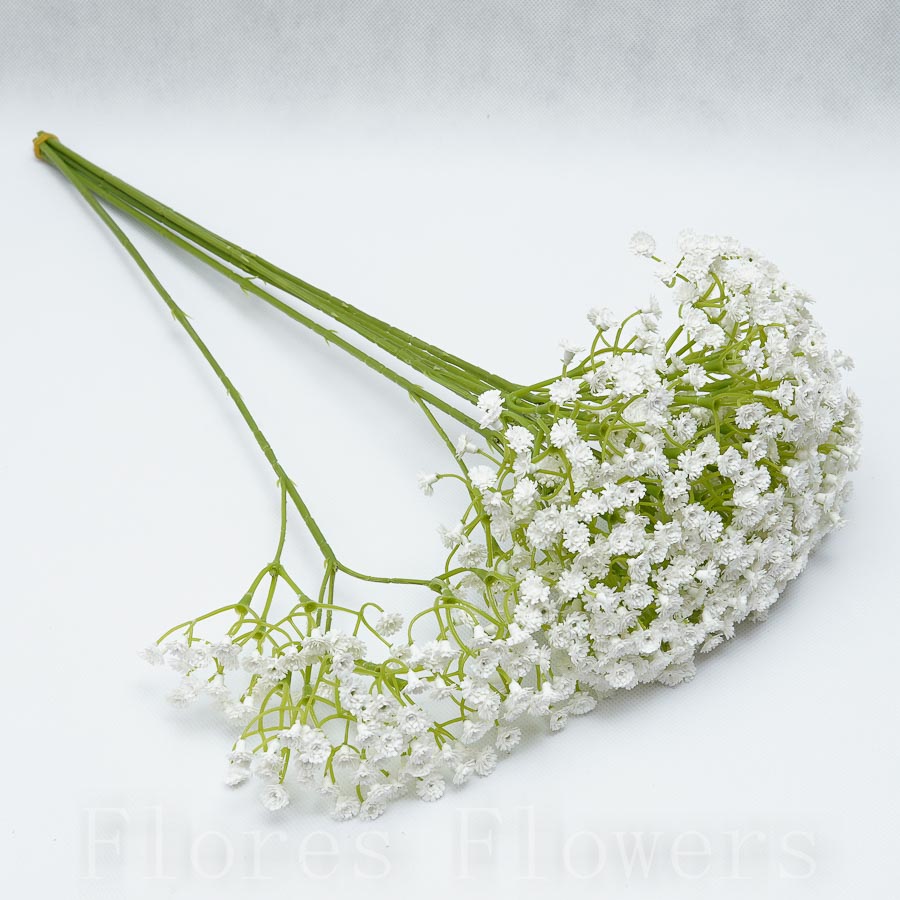 Gypsophila 45cm, cena za 6ks, biela