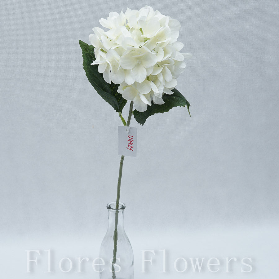 Hortenzia 60 cm