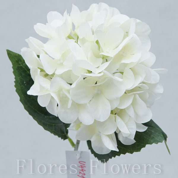 Hortenzia 60 cm